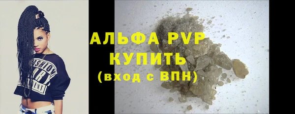 PSILOCYBIN Осташков