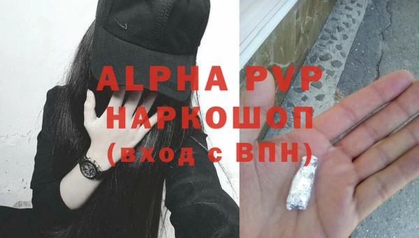 Альфа ПВП Белокуриха