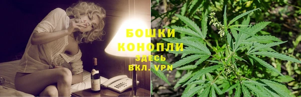 прущие крисы Беломорск