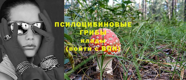 прущие крисы Беломорск