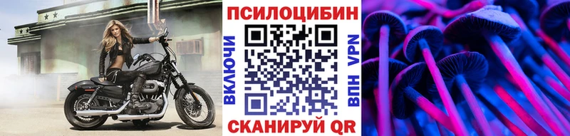 Галлюциногенные грибы Magic Shrooms  продажа наркотиков  это как зайти  Горячеводский  omg как войти 